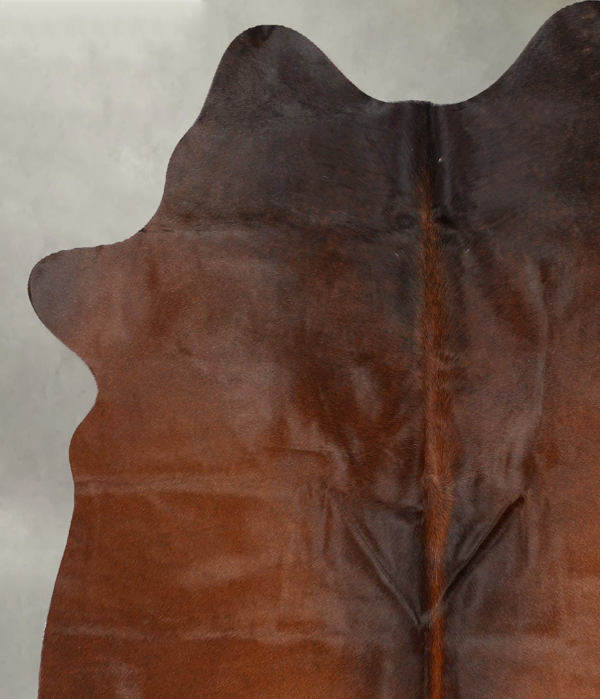 Warm Caramel Medium Brazilian Cowhide Rug 5'9"H x 4'11"W #B30642 by Hudson Hides