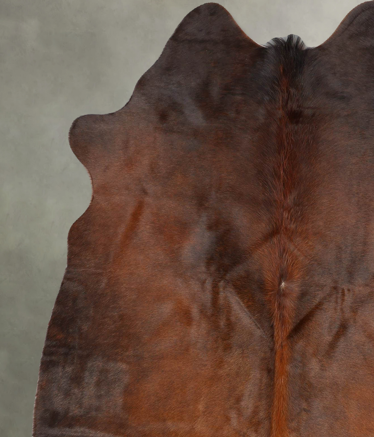 Warm Caramel Large Brazilian Cowhide Rug 6'0"H x 5'2"W #B30643 by Hudson Hides