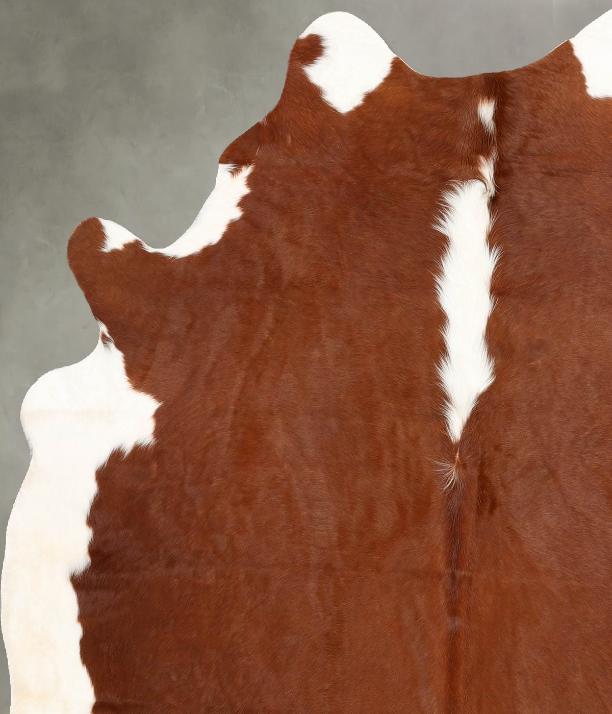 Hereford Large Brazilian Cowhide Rug 7'1"H x 5'5"W #B30647 by Hudson Hides
