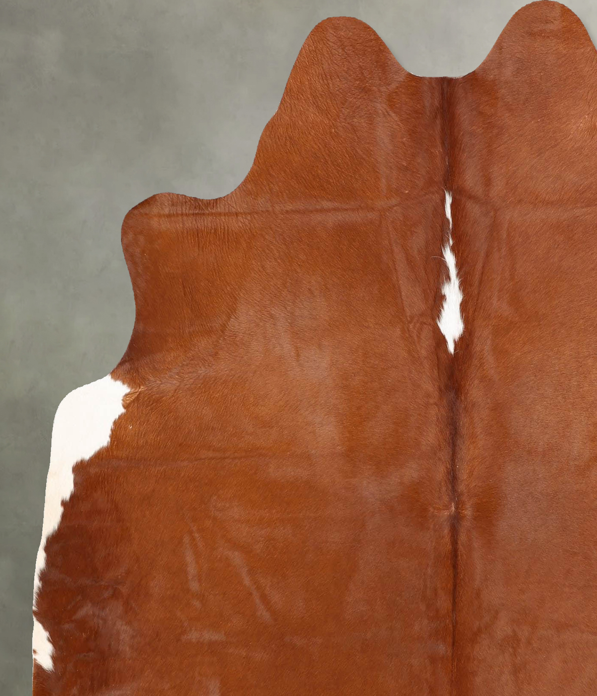 Brown and White Regular Large Brazilian Cowhide Rug 6'1"H x 5'6"W #B30654 by Hudson Hides