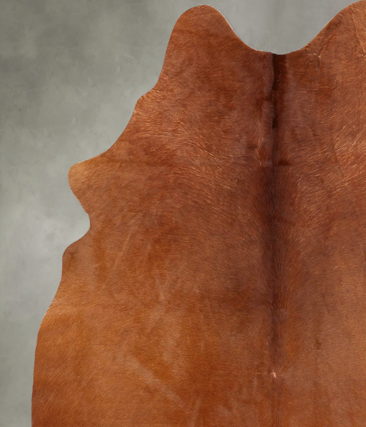 Solid Brown Large Brazilian Cowhide Rug 6'4"H x 4'10"W #B30657 by Hudson Hides