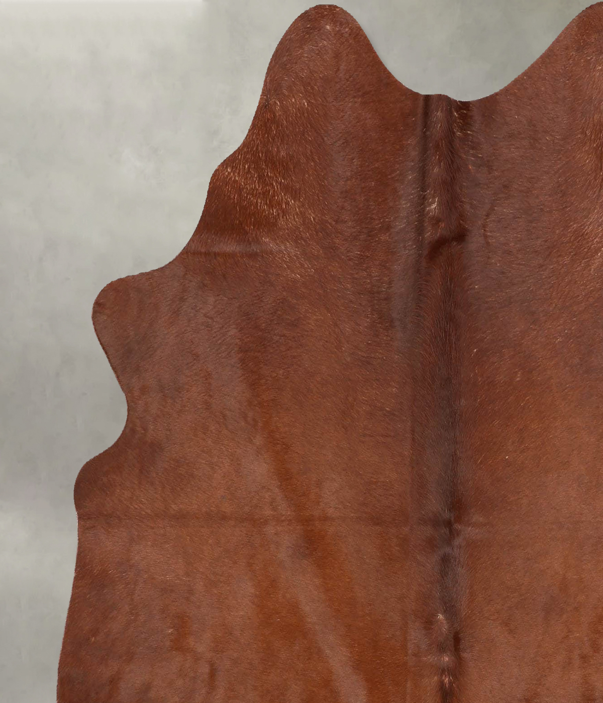 Solid Brown Large Brazilian Cowhide Rug 5'9"H x 5'3"W #B30658 by Hudson Hides
