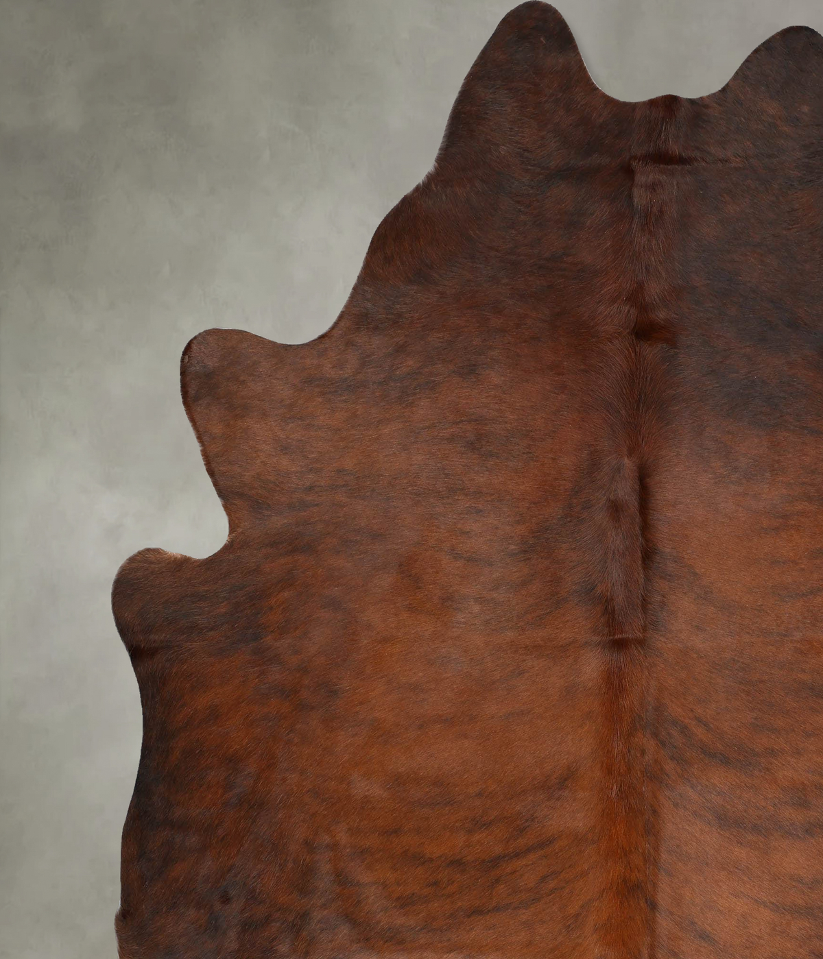 Medium Brindle XX-Large Brazilian Cowhide Rug 8'3"H x 6'9"W #B30660 by Hudson Hides