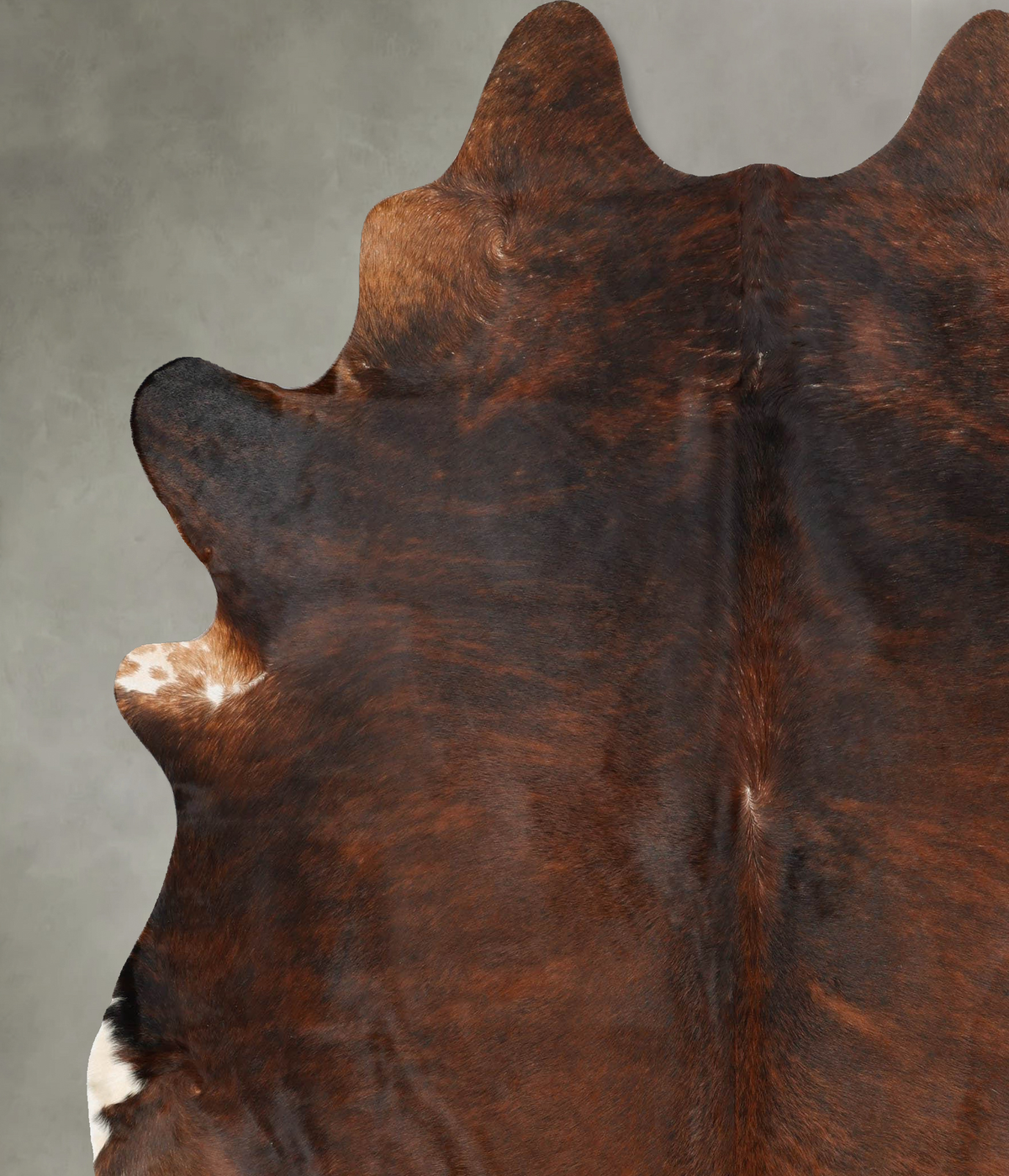 Dark Brindle XX-Large Brazilian Cowhide Rug 8'6"H x 7'0"W #B30661 by Hudson Hides