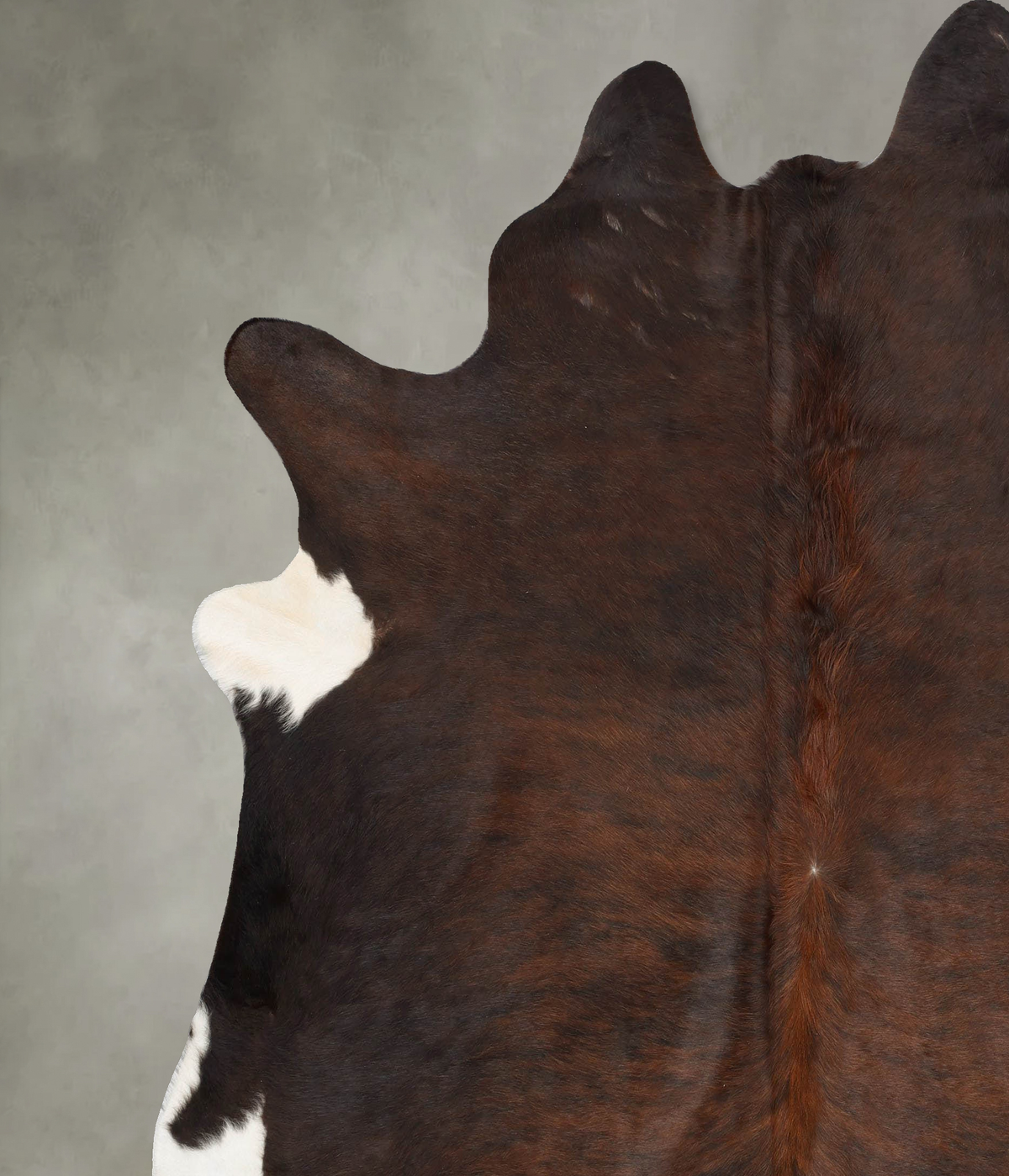 Dark Brindle XX-Large Brazilian Cowhide Rug 8'1"H x 7'4"W #B30662 by Hudson Hides