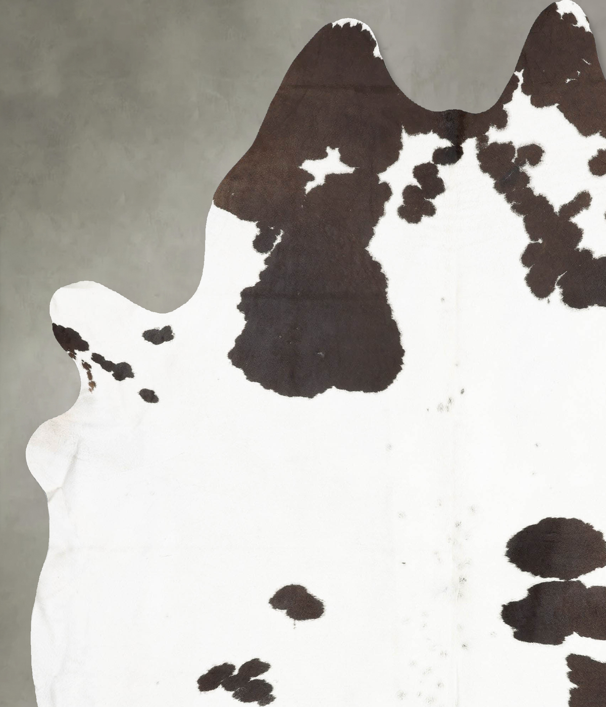 Chocolate and White XX-Large Brazilian Cowhide Rug 7'11"H x 6'8"W #B30683 by Hudson Hides