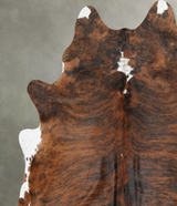 Medium Brindle XX-Large Brazilian Cowhide Rug 7'9"H x 7'0"W #B30684 by Hudson Hides