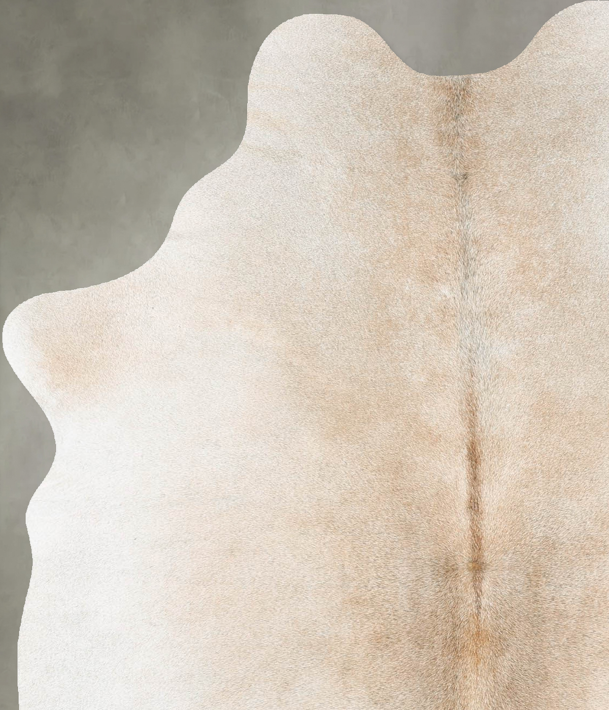 Grey with Beige Medium Brazilian Cowhide Rug 6'2"H x 4'5"W #B30691 by Hudson Hides