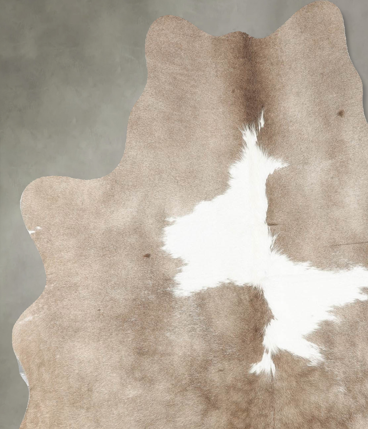 Taupe Medium Brazilian Cowhide Rug 5'0"H x 4'4"W #B30692 by Hudson Hides