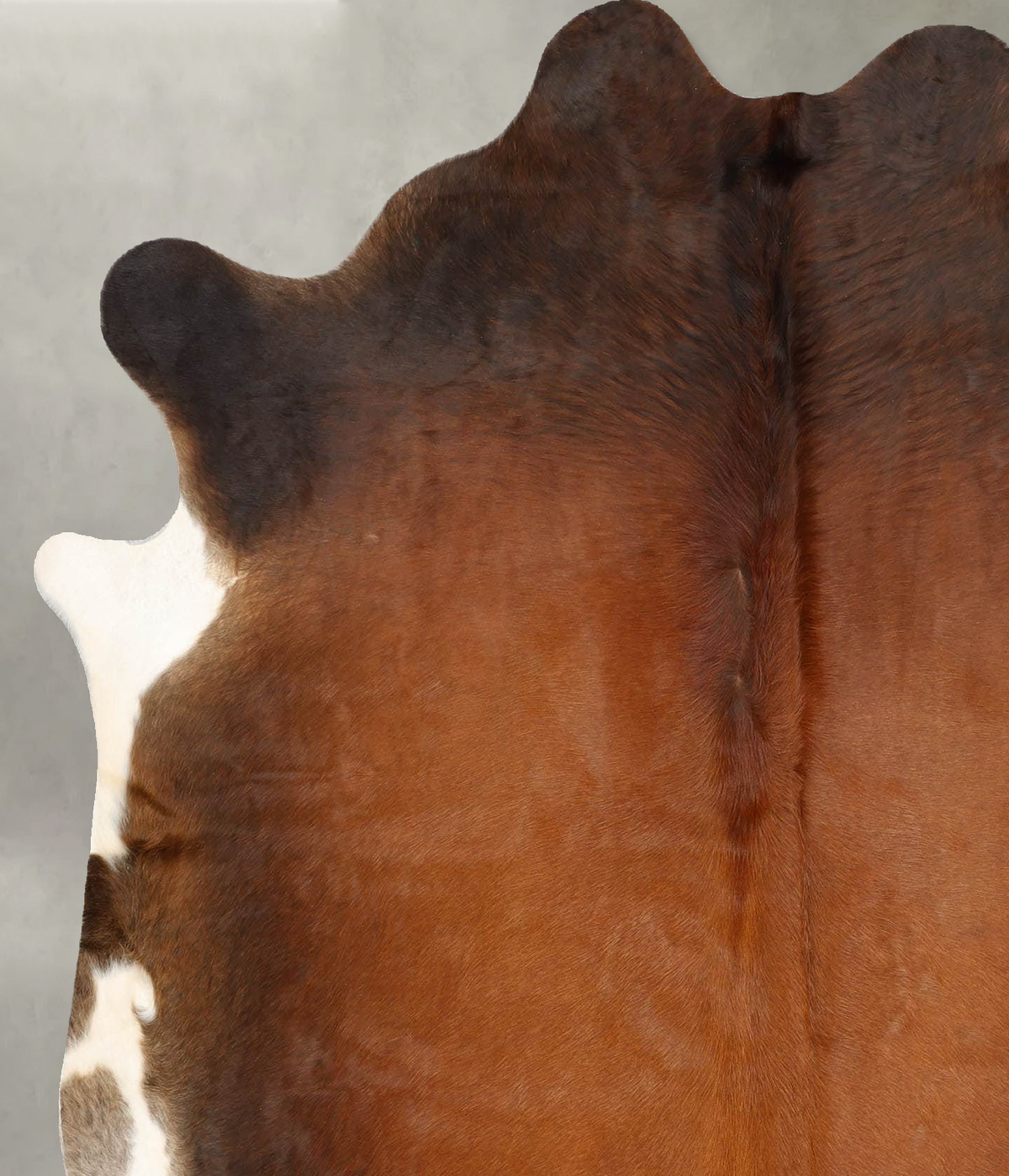 Warm Caramel Large Brazilian Cowhide Rug 6'7"H x 5'8"W #B30695 by Hudson Hides