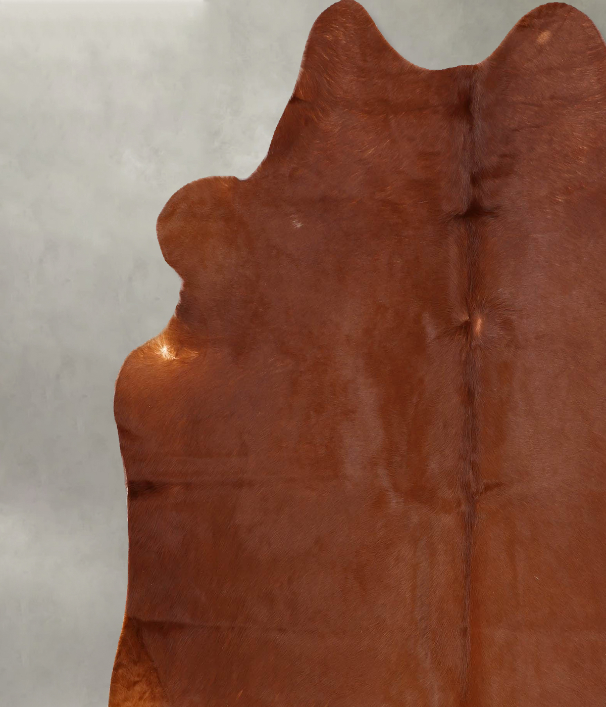 Solid Brown X-Large Brazilian Cowhide Rug 6'10"H x 6'2"W #B30696 by Hudson Hides