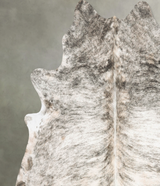 Light Brindle XX-Large Brazilian Cowhide Rug 7'8"H x 7'5"W #B30700 by Hudson Hides