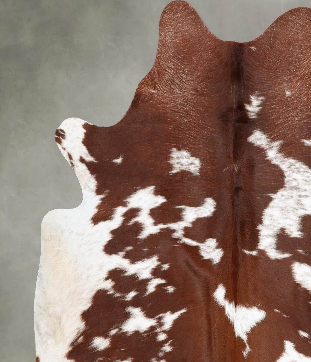 Brown and White Large Brazilian Cowhide Rug 6'4"H x 6'0"W #B30712 by Hudson Hides