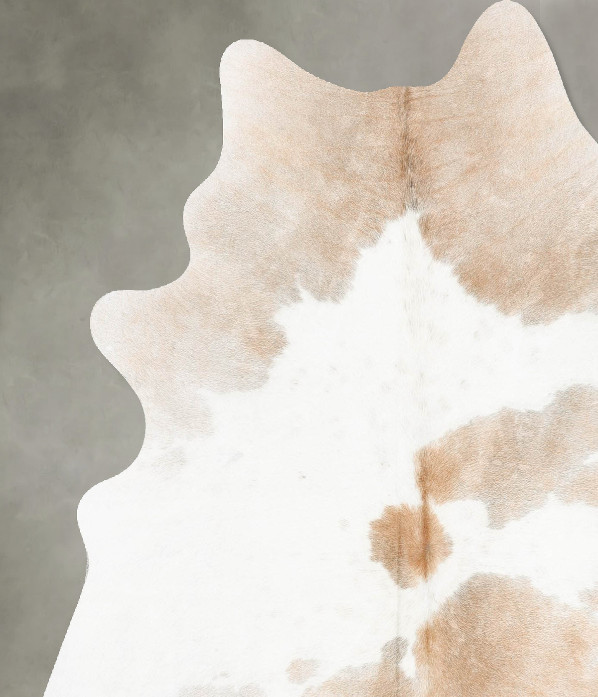 Light Caramel Large Brazilian Cowhide Rug 6'6"H x 5'5"W #B30714 by Hudson Hides