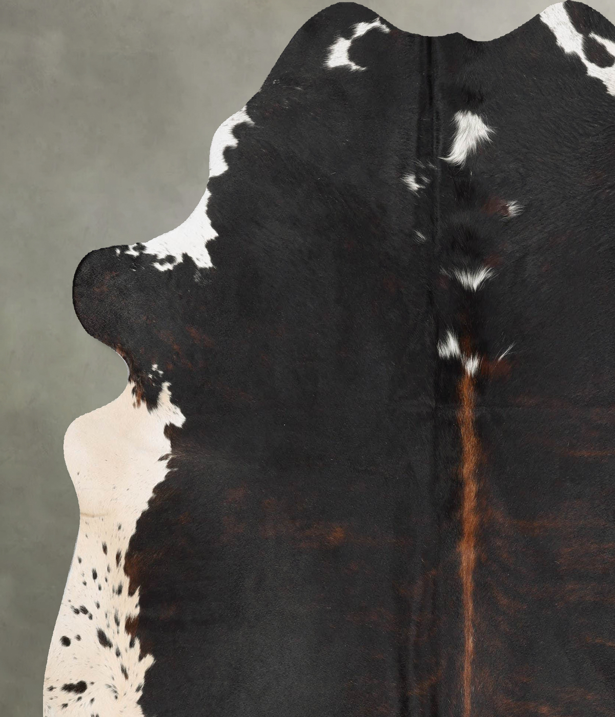 Tricolor X-Large Brazilian Cowhide Rug 6'10"H x 6'6"W #B30724 by Hudson Hides