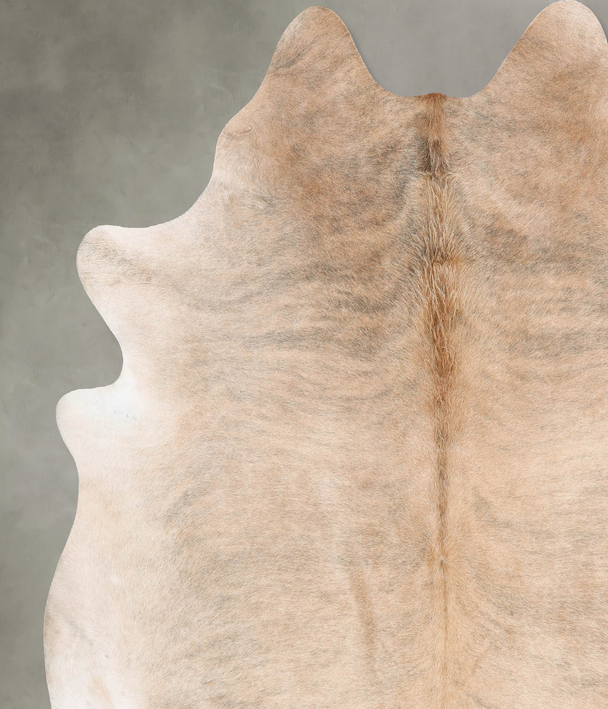 Light Brindle XX-Large Brazilian Cowhide Rug 8'2"H x 7'3"W #B30725 by Hudson Hides