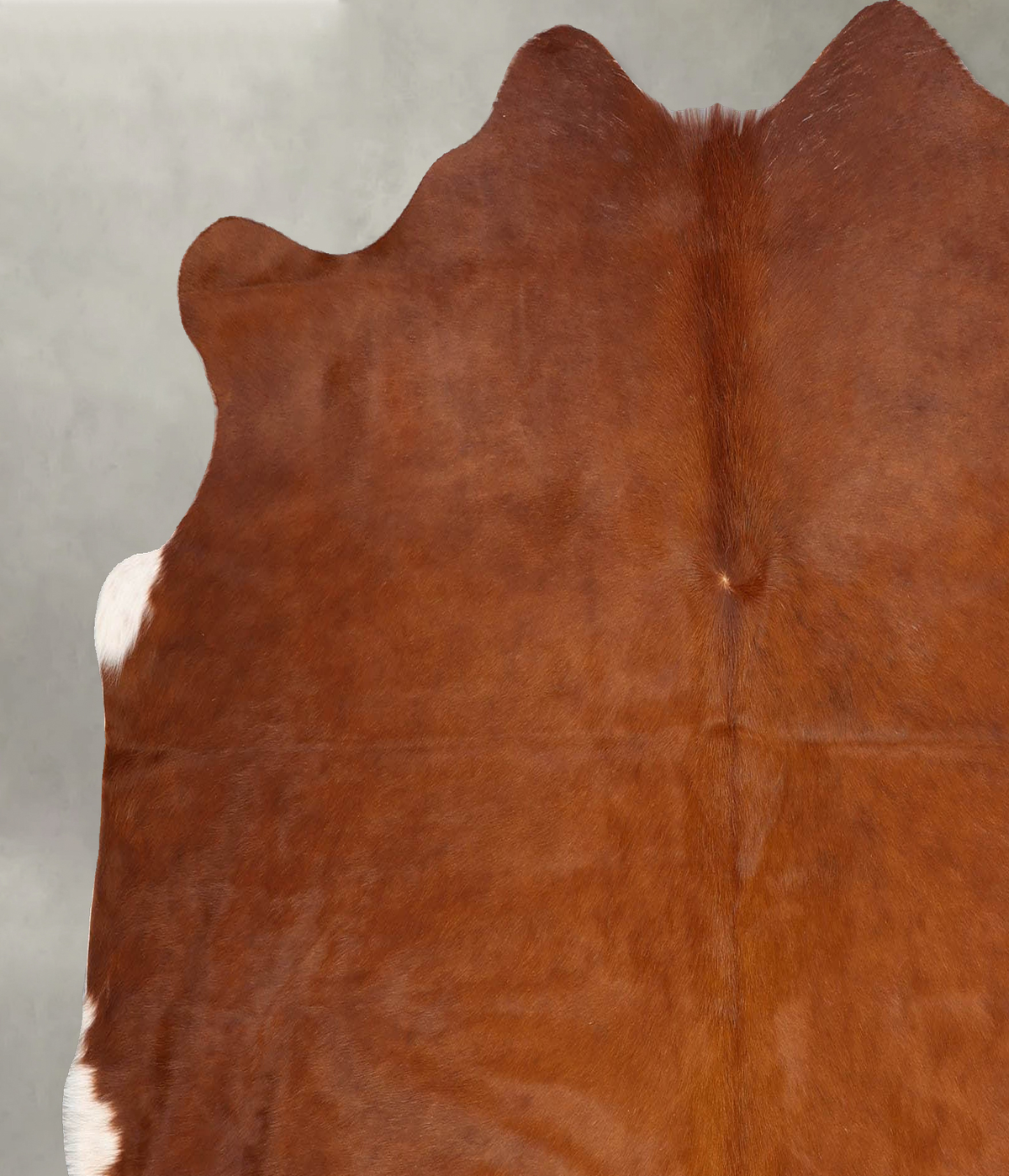 Solid Brown Large Brazilian Cowhide Rug 5'11"H x 6'4"W #B30731 by Hudson Hides