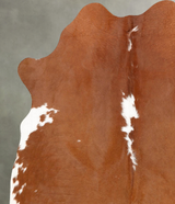 Brown and White Regular Medium Brazilian Cowhide Rug 5'9"H x 5'0"W #B30732 by Hudson Hides