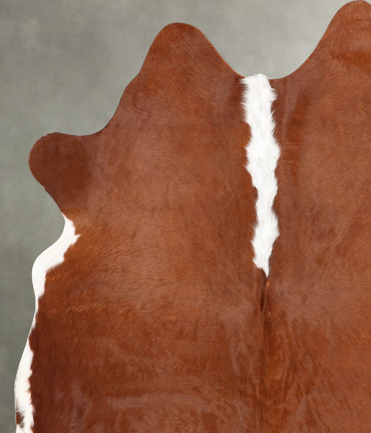 Hereford Large Brazilian Cowhide Rug 6'10"H x 5'8"W #B30733 by Hudson Hides