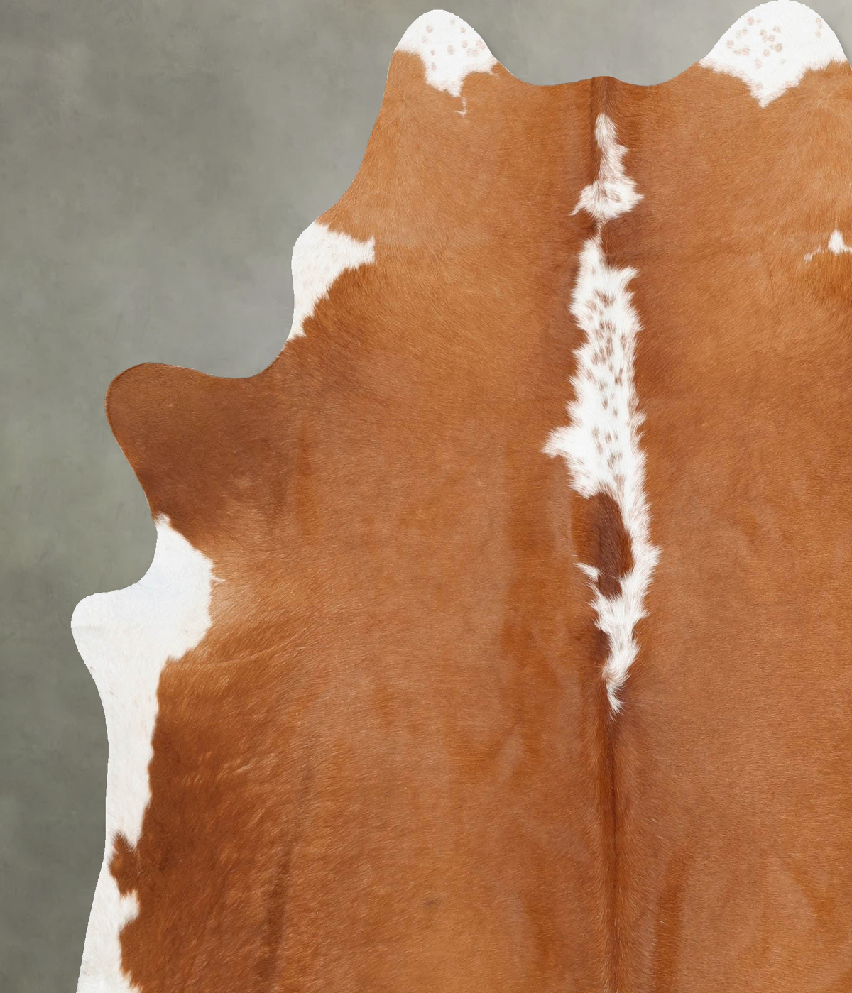 Brown and White Regular X-Large Brazilian Cowhide Rug 7'7"H x 6'5"W #B30737 by Hudson Hides