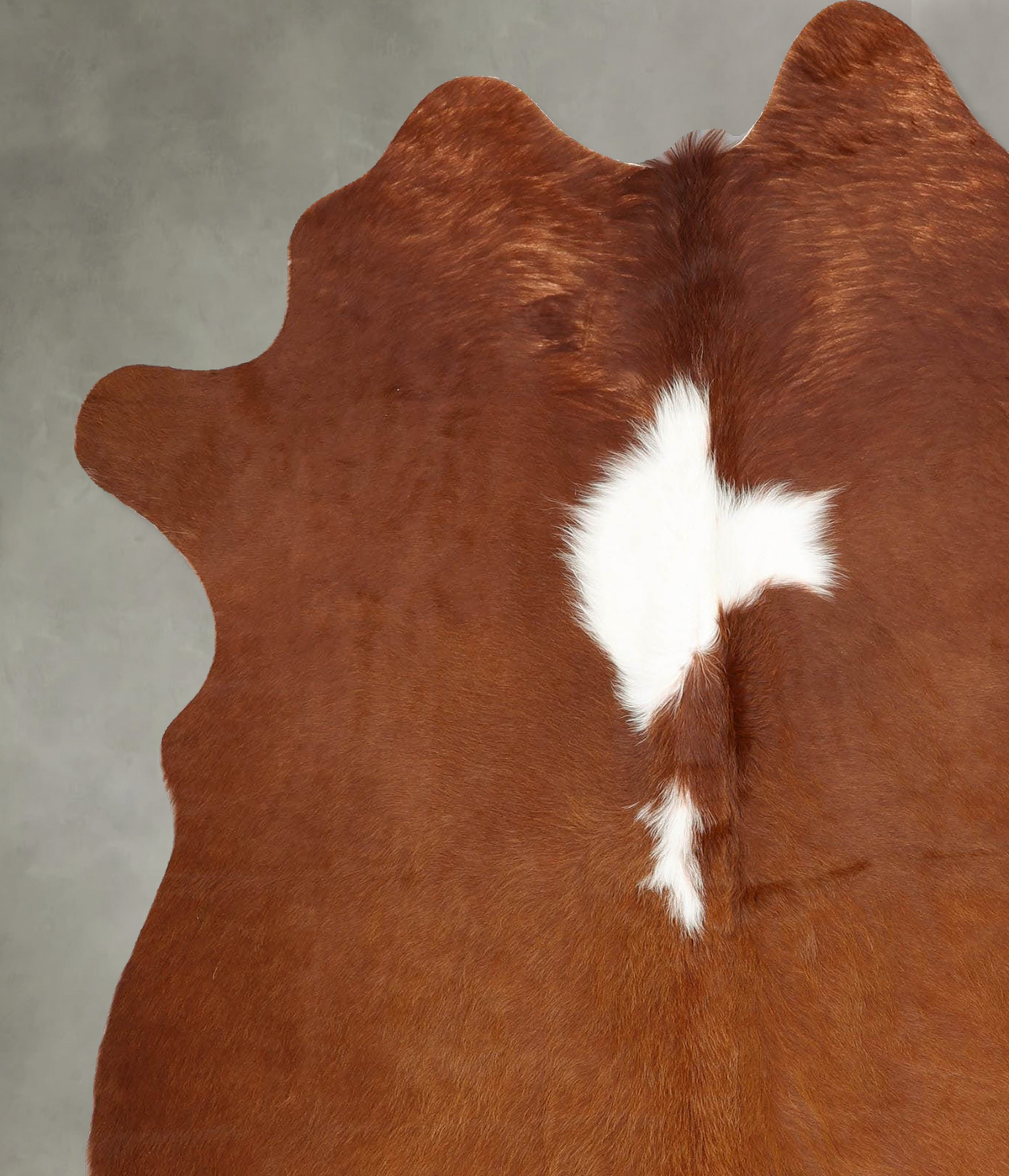 Brown and White Large Brazilian Cowhide Rug 7'3"H x 5'5"W #B30746 by Hudson Hides