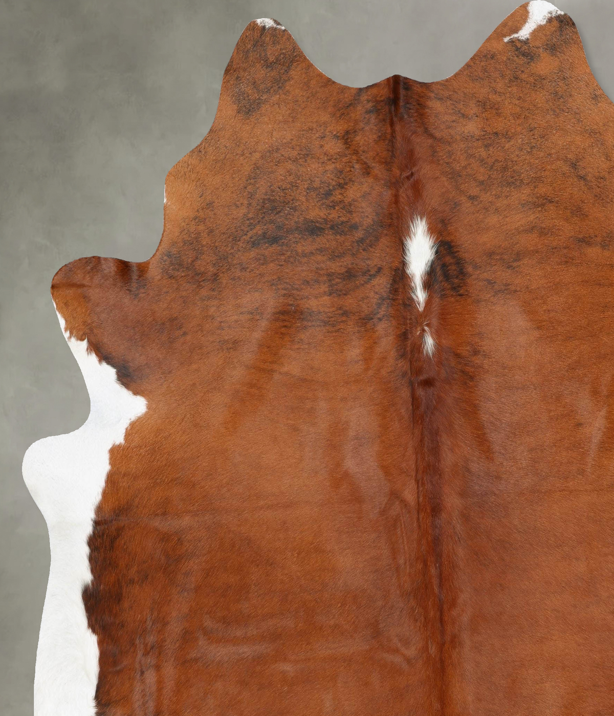 Medium Brindle XX-Large Brazilian Cowhide Rug 7'7"H x 6'11"W #B30750 by Hudson Hides