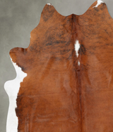 Medium Brindle XX-Large Brazilian Cowhide Rug 7'7"H x 6'11"W #B30750 by Hudson Hides