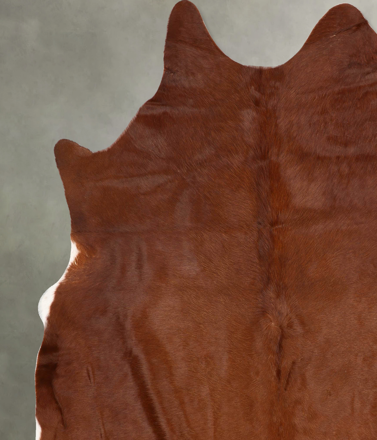 Solid Brown XX-Large Brazilian Cowhide Rug 8'0"H x 6'9"W #B30755 by Hudson Hides