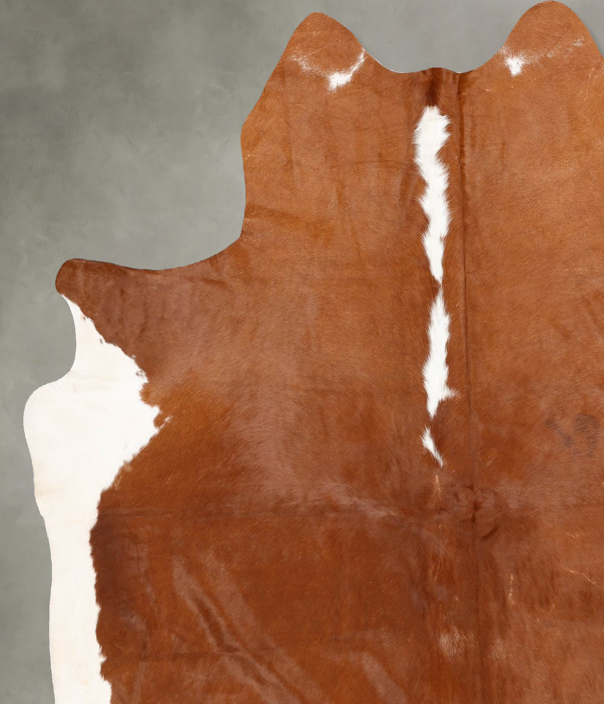 Brown and White Regular XX-Large Brazilian Cowhide Rug 7'9"H x 6'7"W #B30757 by Hudson Hides
