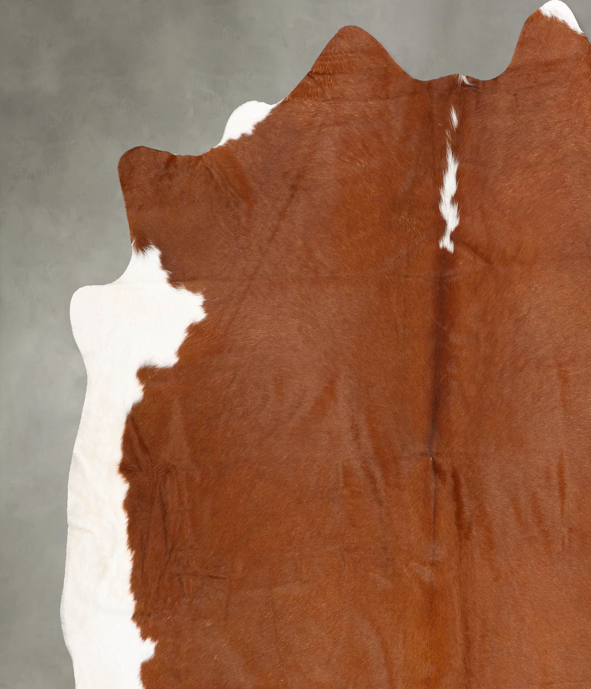 Brown and White Regular XX-Large Brazilian Cowhide Rug 7'9"H x 6'11"W #B30758 by Hudson Hides