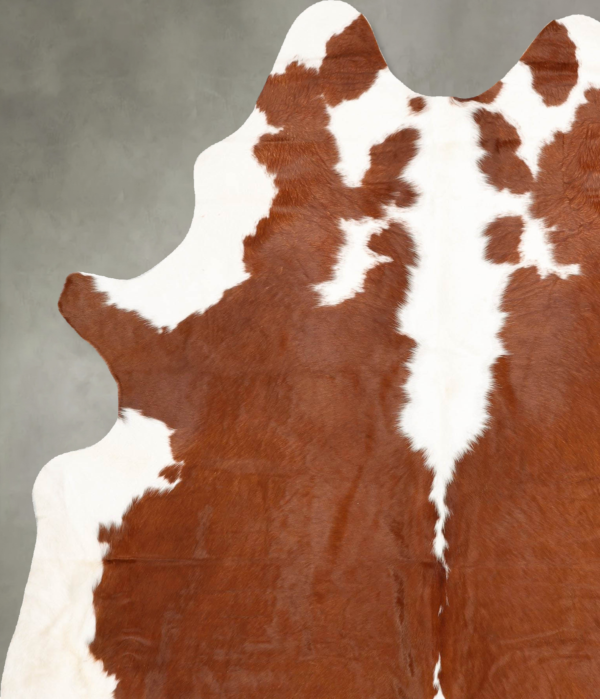 Hereford X-Large Brazilian Cowhide Rug 8'1"H x 6'0"W #B30759 by Hudson Hides