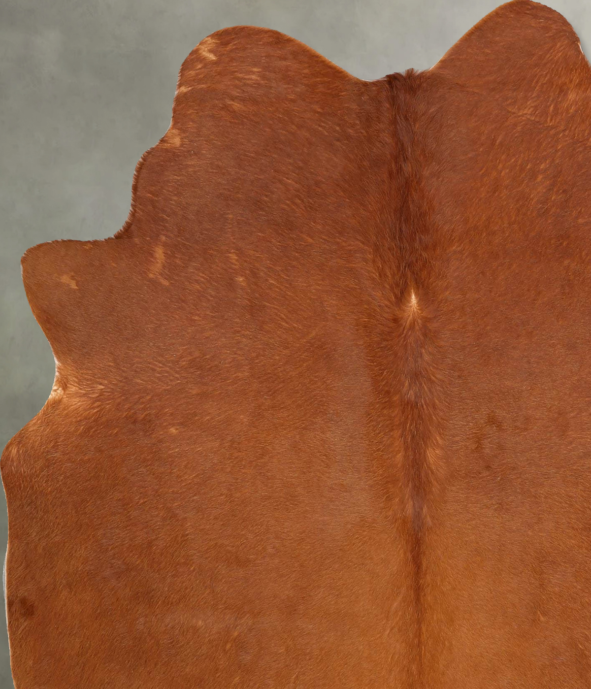 Solid Brown Large Brazilian Cowhide Rug 6'5"H x 5'7"W #B30760 by Hudson Hides