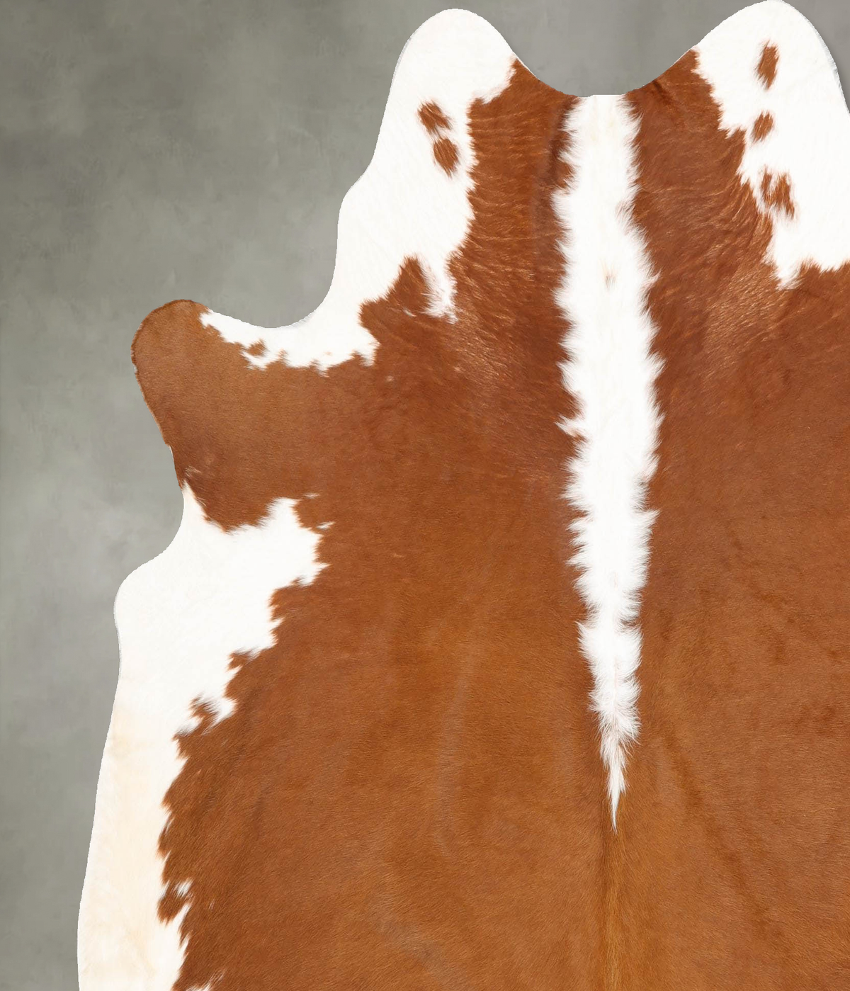 Hereford X-Large Brazilian Cowhide Rug 7'1"H x 6'6"W #B30761 by Hudson Hides