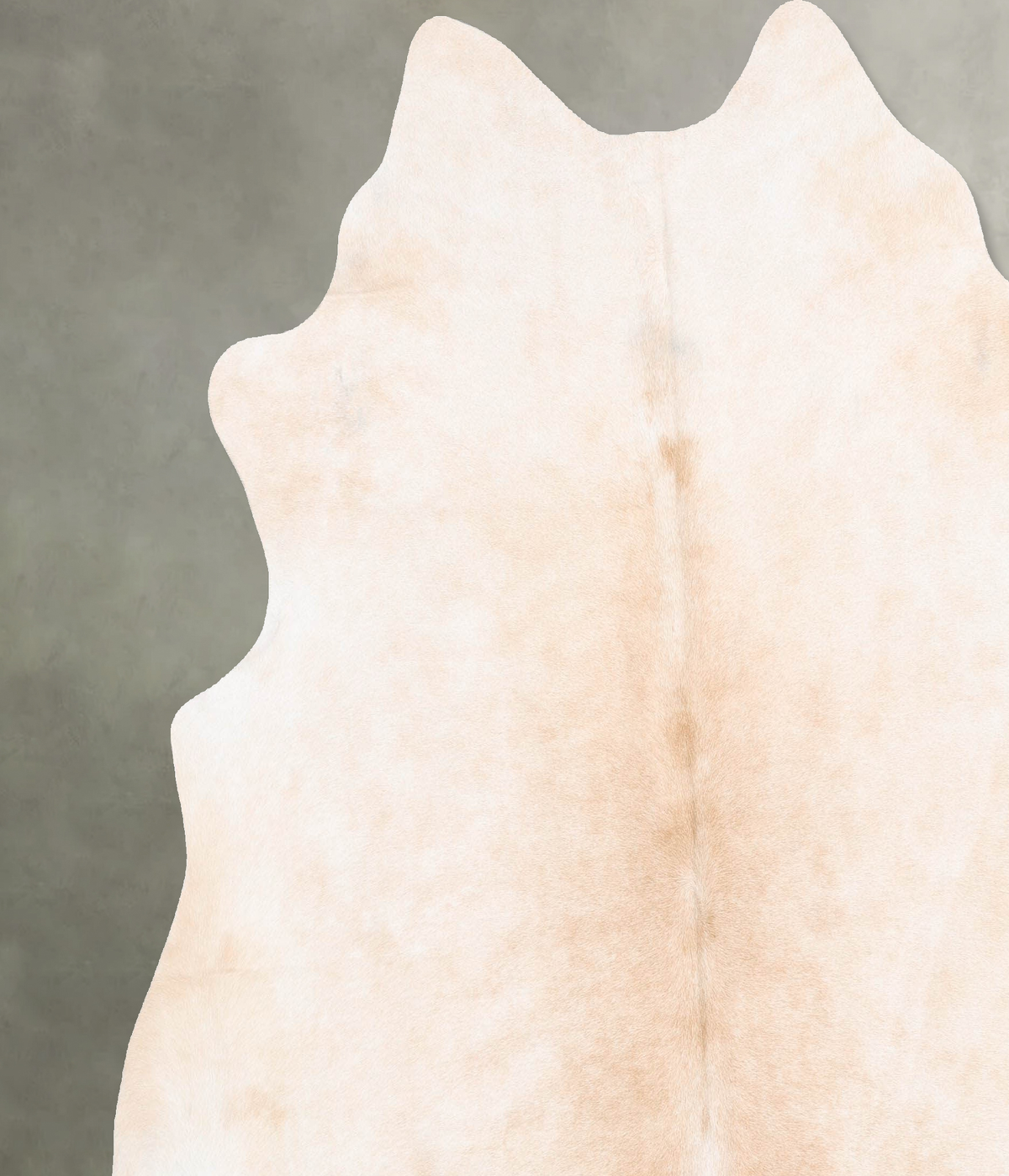 Beige XX-Large Brazilian Cowhide Rug 7'7"H x 7'4"W #B30765 by Hudson Hides