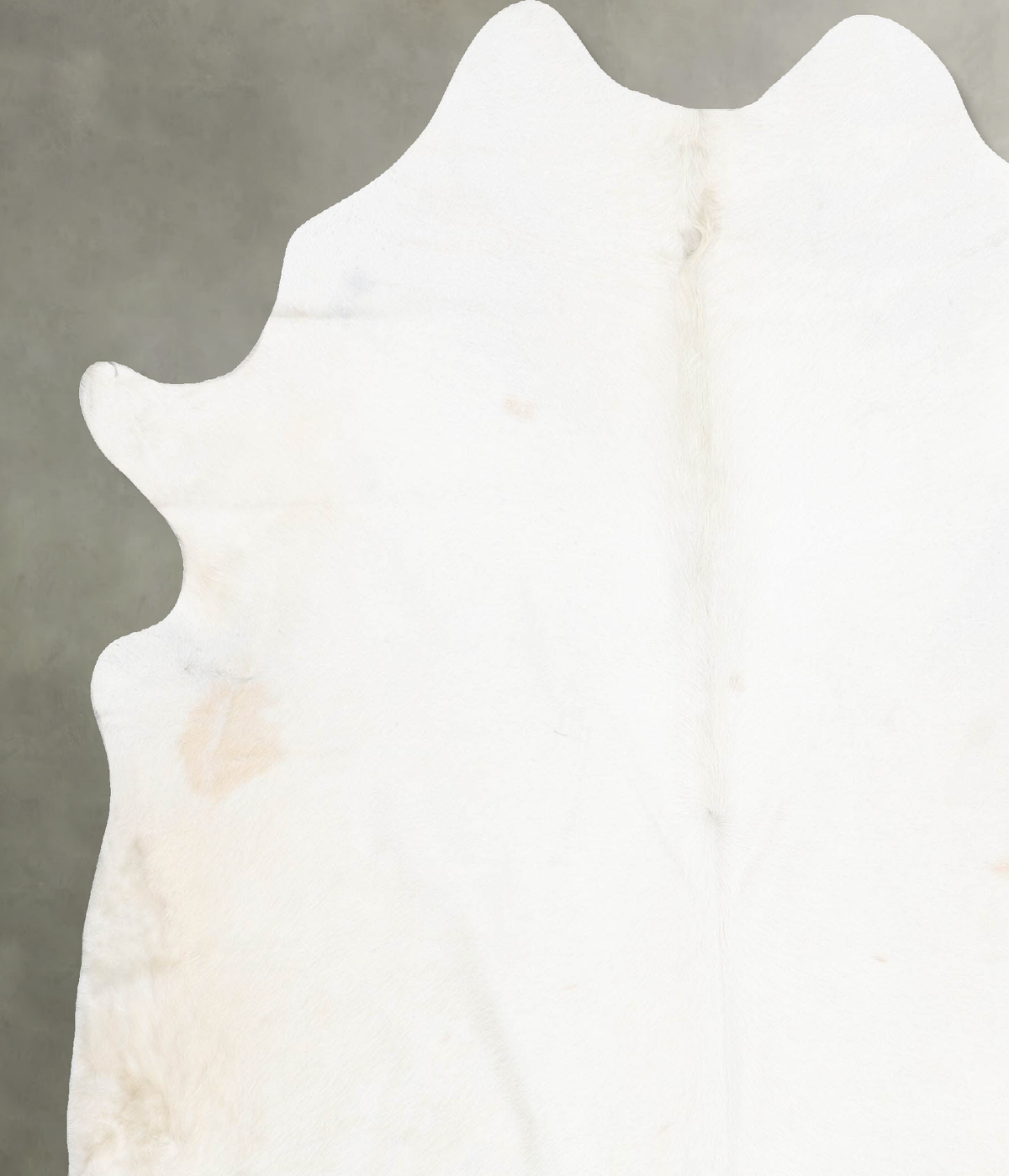 Ivory with Beige XX-Large Brazilian Cowhide Rug 7'7"H x 7'1"W #B30769 by Hudson Hides