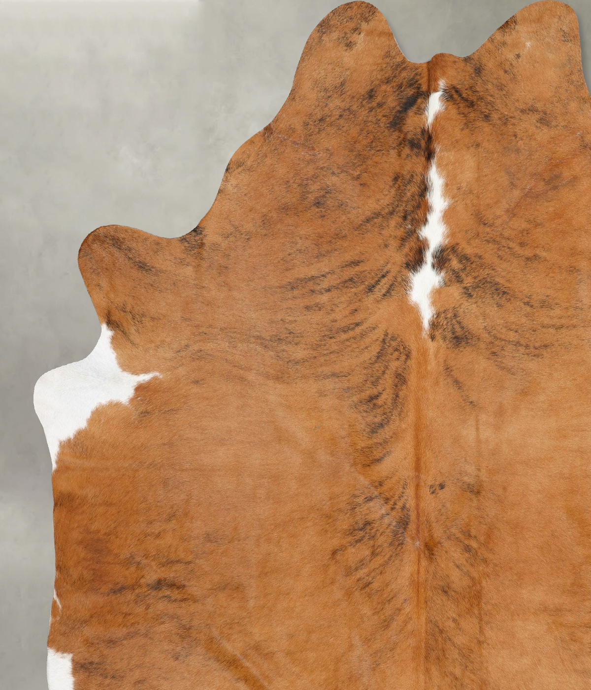 Medium Brindle XX-Large Brazilian Cowhide Rug 8'9"H x 7'2"W #B30772 by Hudson Hides