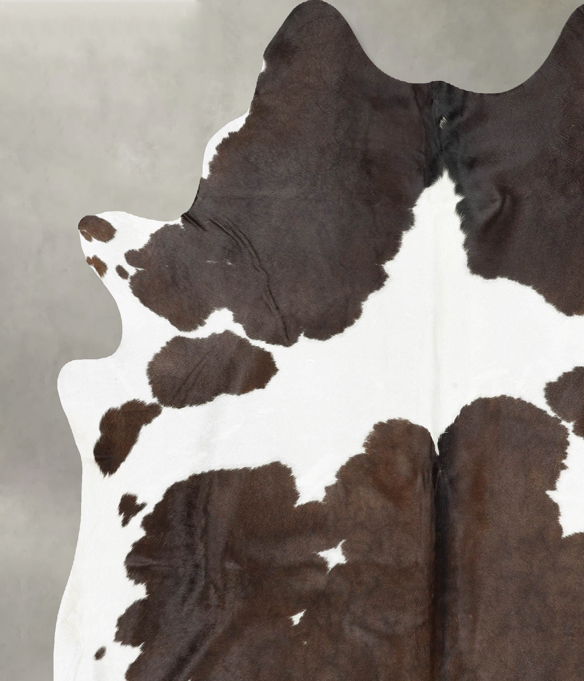 Chocolate and White XX-Large Brazilian Cowhide Rug 8'0"H x 6'7"W #B30774 by Hudson Hides