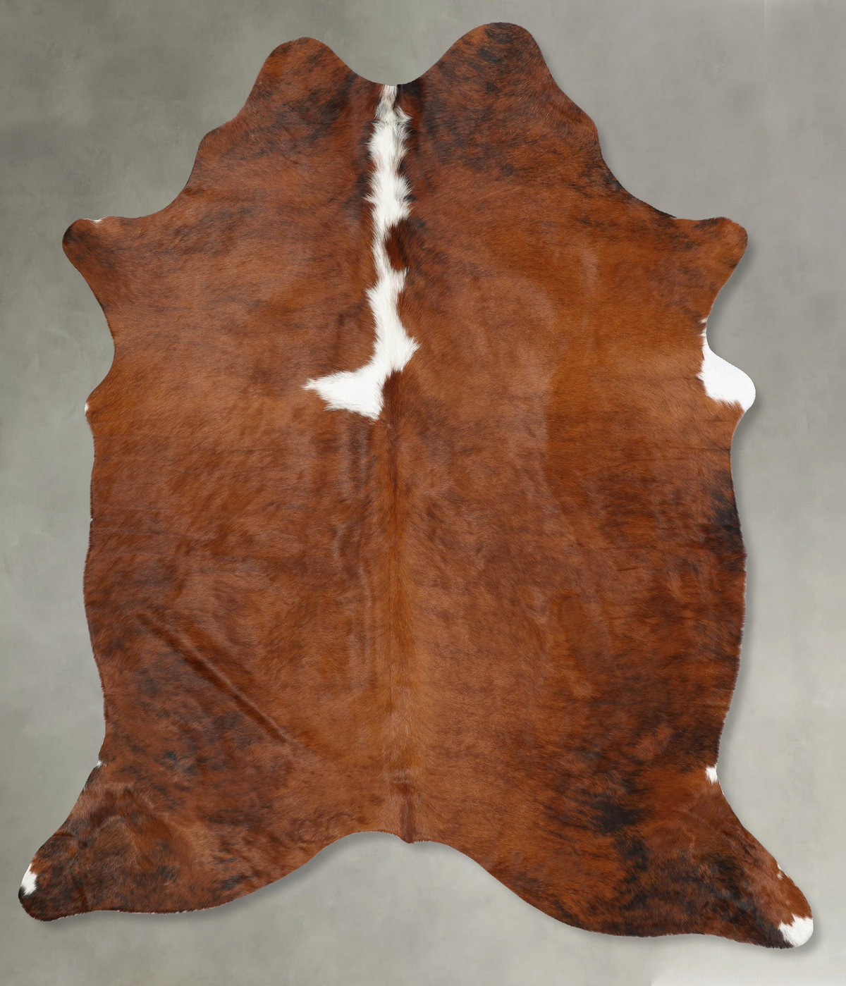Tricolor Cowhide Rug #B30775