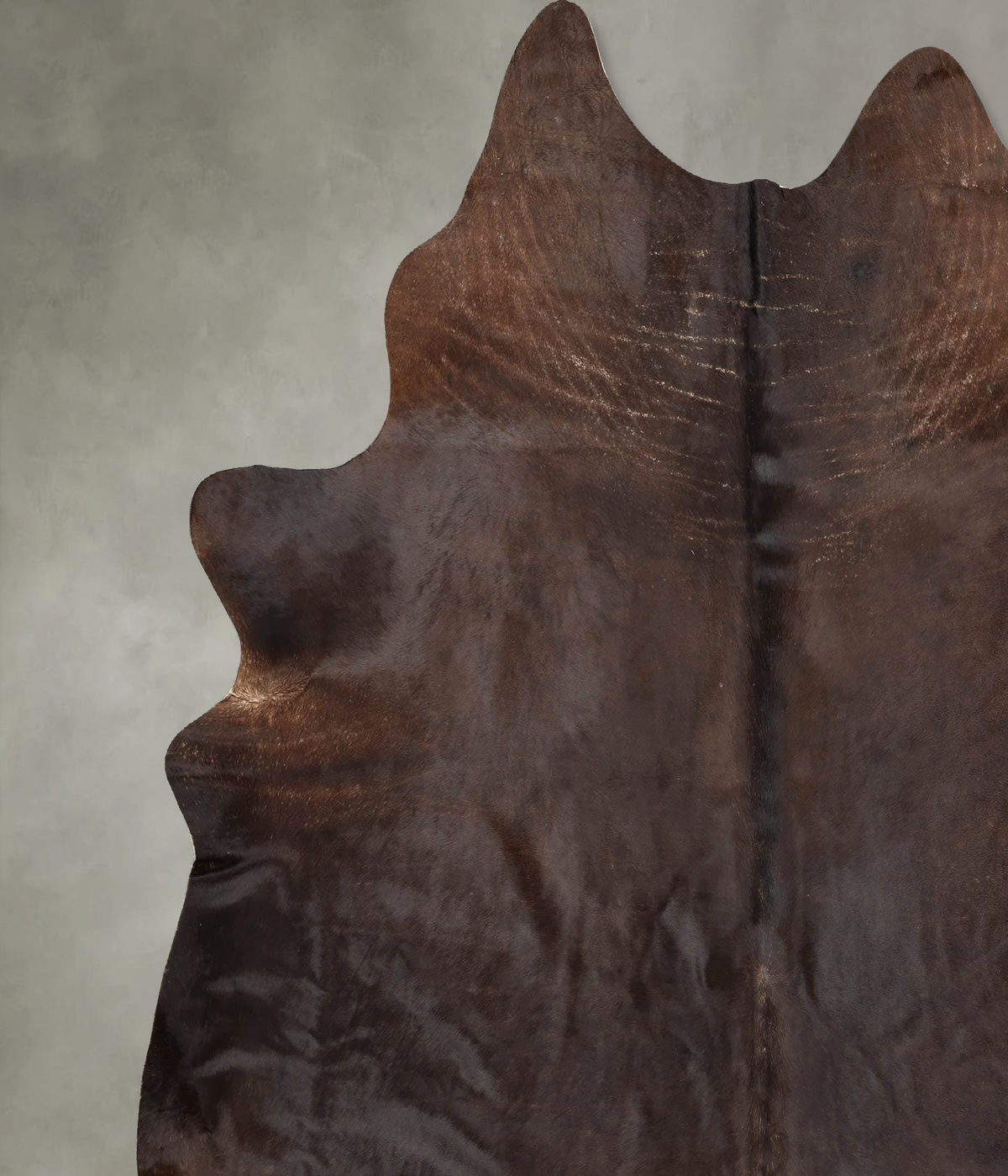 Chocolate XX-Large Brazilian Cowhide Rug 8'3"H x 7'3"W #B30782 by Hudson Hides