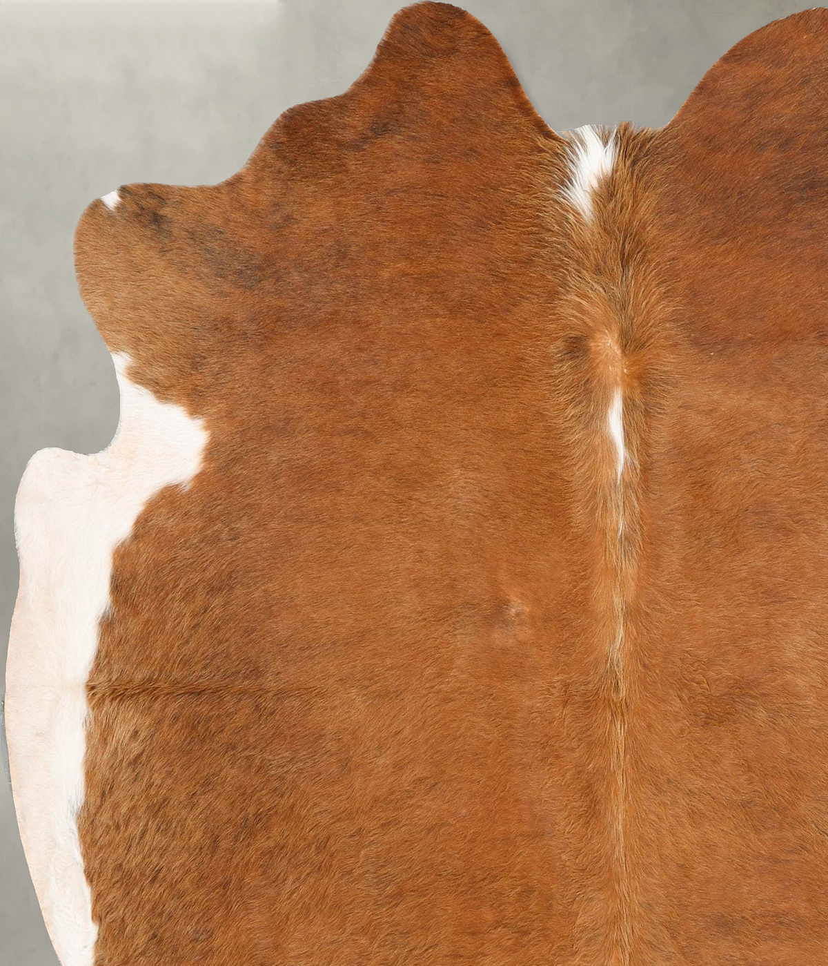 Brown and White Regular X-Large Brazilian Cowhide Rug 6'8"H x 6'1"W #B30783 by Hudson Hides