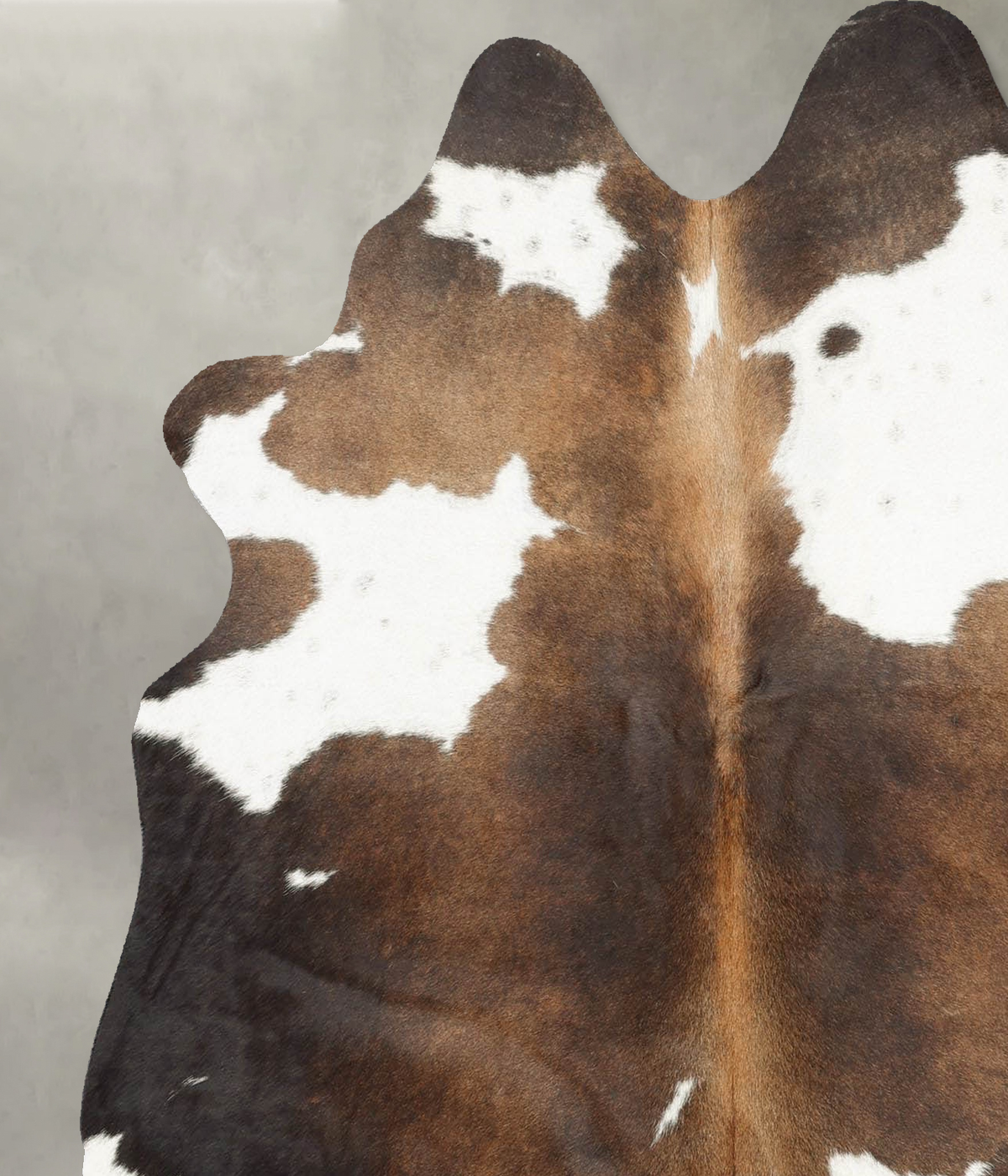 Chocolate and White Medium Brazilian Cowhide Rug 5'7"H x 5'1"W #B30801 by Hudson Hides