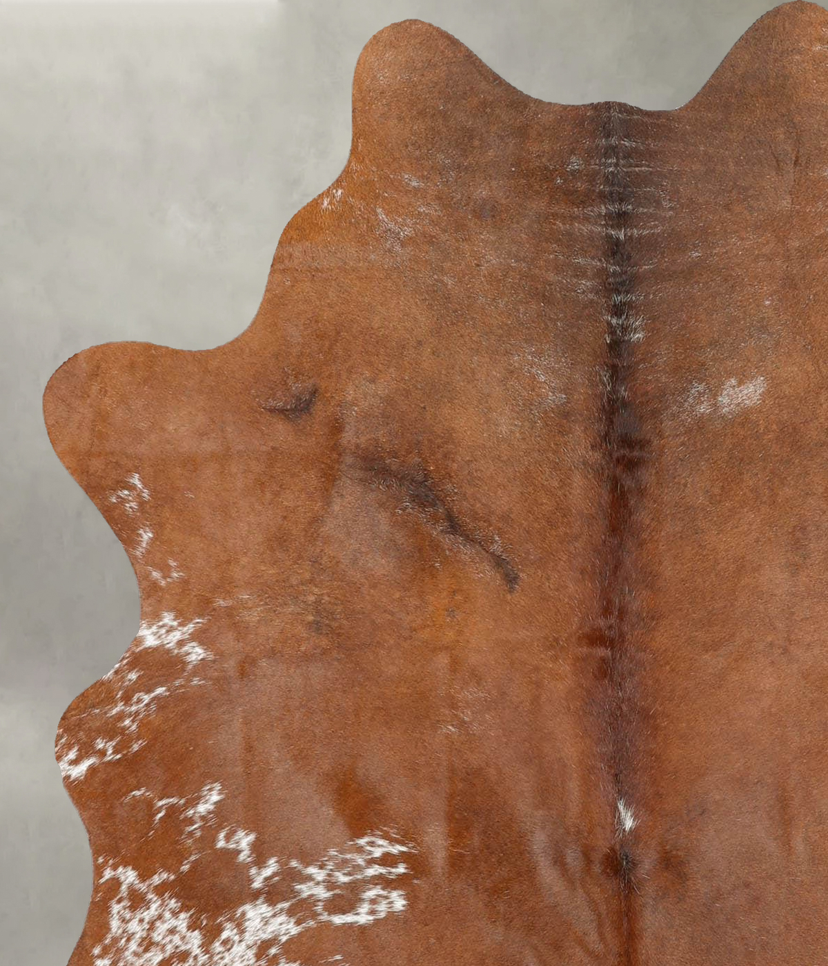 Brown and White Regular Medium Brazilian Cowhide Rug 5'7"H x 4'8"W #B30804 by Hudson Hides
