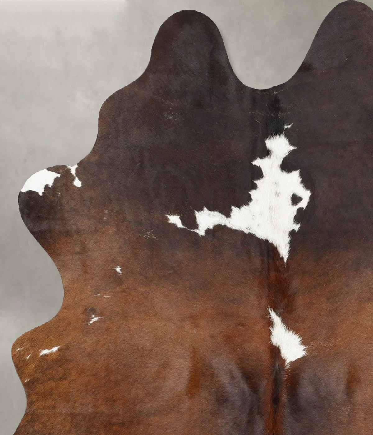 Chocolate and White Medium Brazilian Cowhide Rug 6'0"H x 4'3"W #B30805 by Hudson Hides