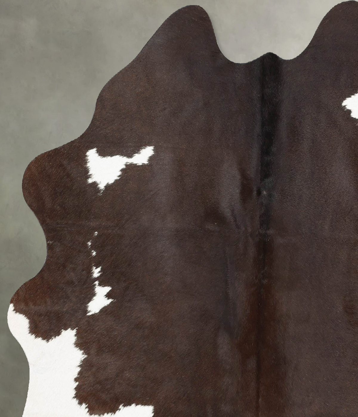 Chocolate and White Medium Brazilian Cowhide Rug 5'4"H x 5'1"W #B30816 by Hudson Hides