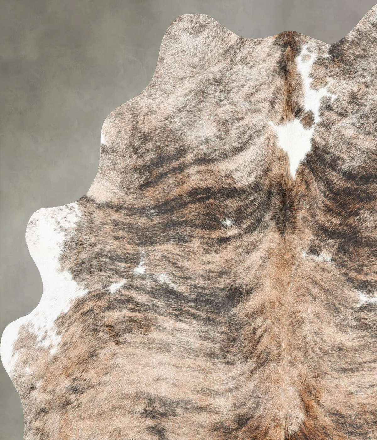 Tricolor Medium Brazilian Cowhide Rug 5'6"H x 5'2"W #B30818 by Hudson Hides