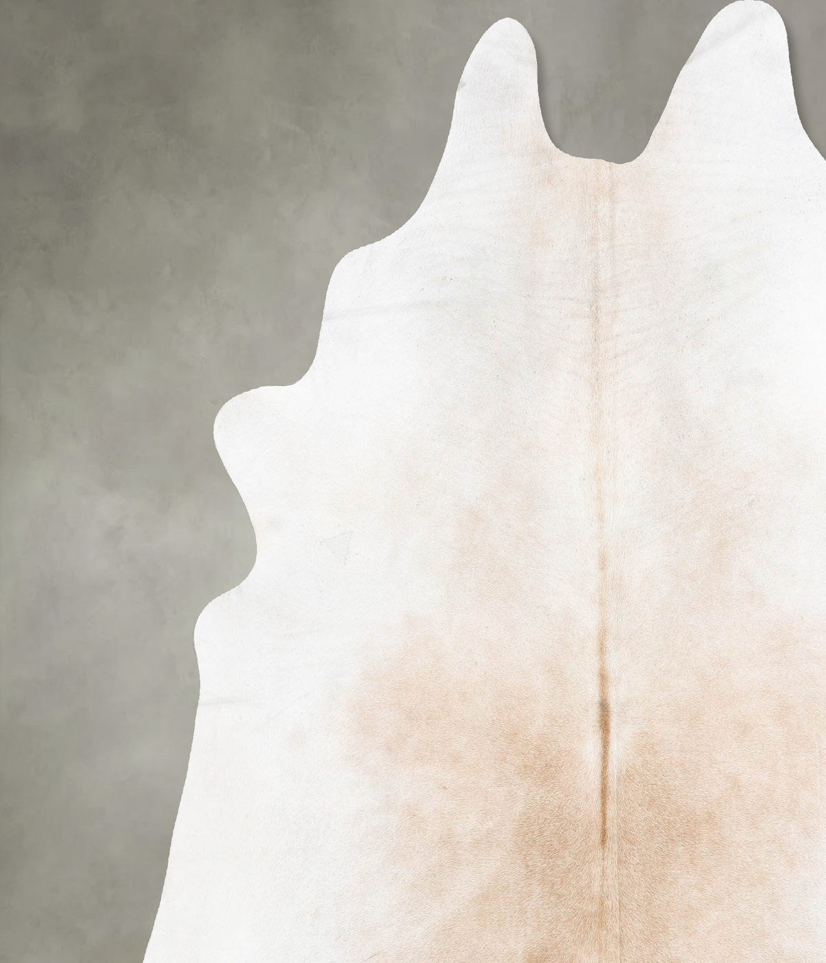 Grey with Beige Cowhide Rug #B30820