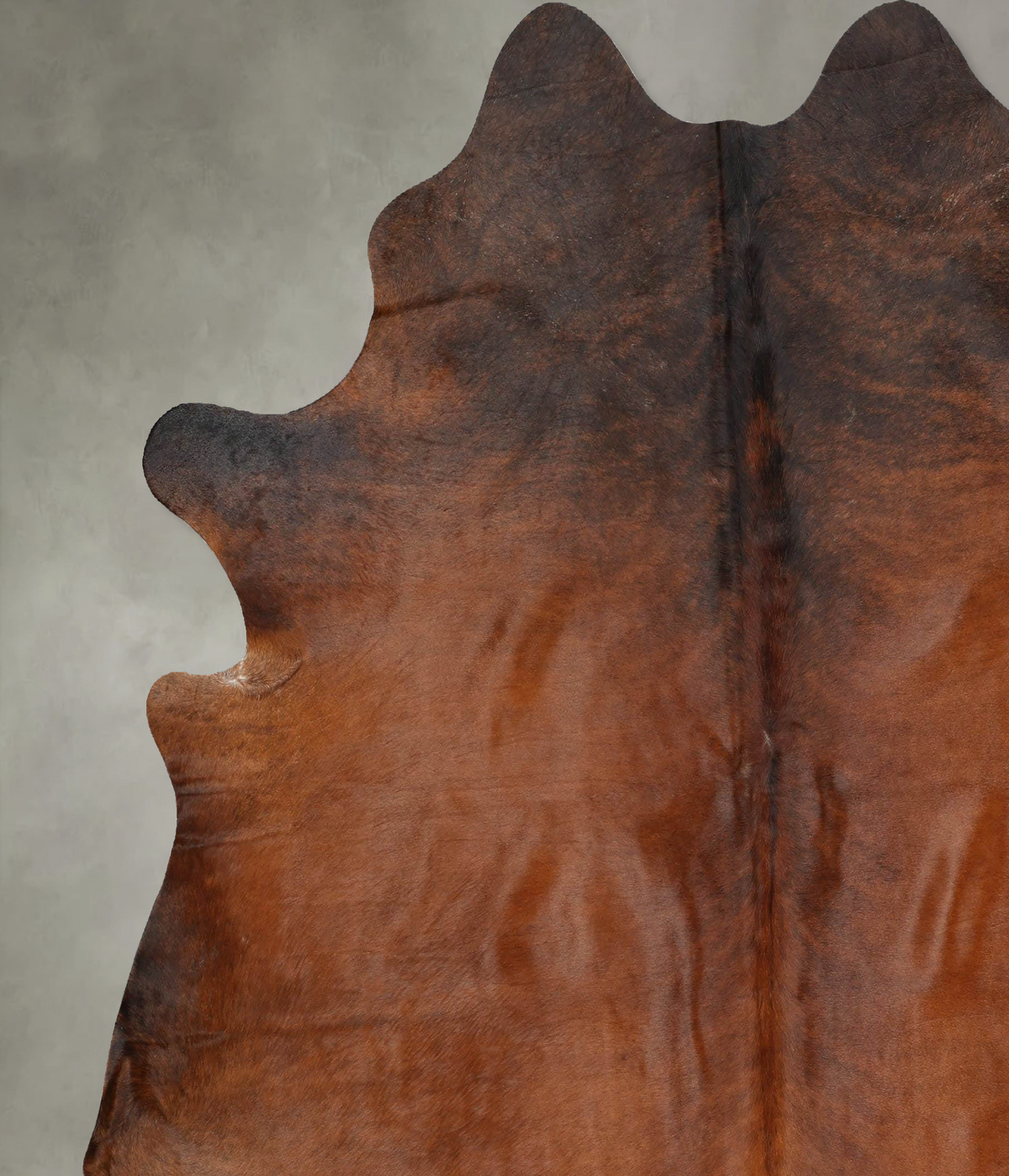 Warm Caramel XX-Large Brazilian Cowhide Rug 7'8"H x 7'2"W #B30821 by Hudson Hides