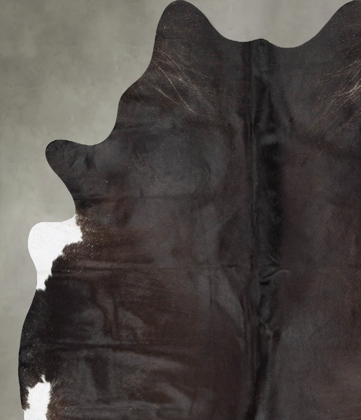 Chocolate XX-Large Brazilian Cowhide Rug 8'8"H x 7'1"W #B30823 by Hudson Hides