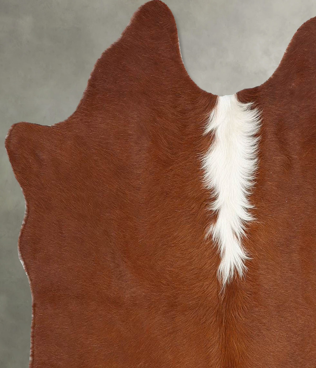 Brown and White Regular Medium Brazilian Cowhide Rug 3'10"H x 3'10"W #B30825 by Hudson Hides