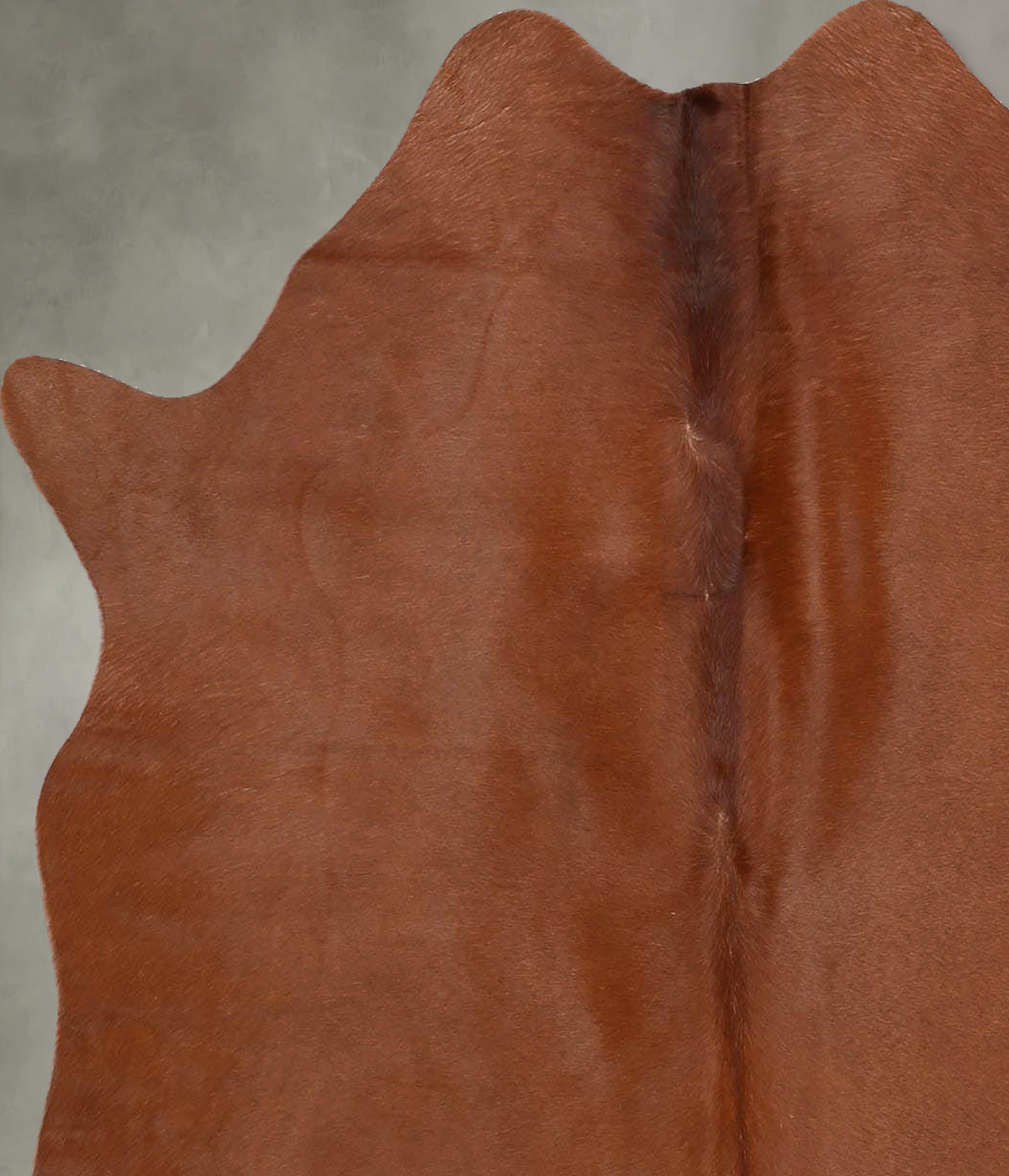 Solid Brown Medium Brazilian Cowhide Rug 4'11"H x 4'1"W #B30827 by Hudson Hides